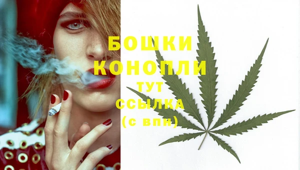 ешки Белокуриха