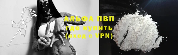 ешки Белокуриха