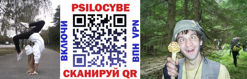Псилоцибиновые грибы мицелий  блэк спрут онион  Кузнецк  закладка 