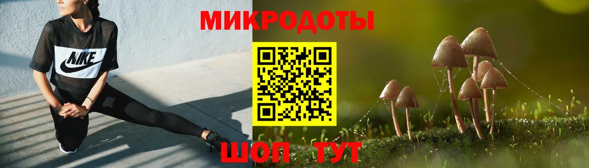 Псилоцибиновые грибы мицелий Кузнецк