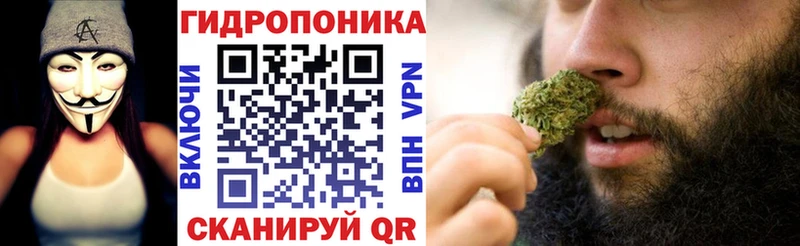 как найти наркотики  Кузнецк  Бошки марихуана SATIVA & INDICA 